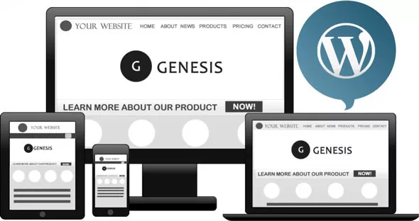 Genesis Framework