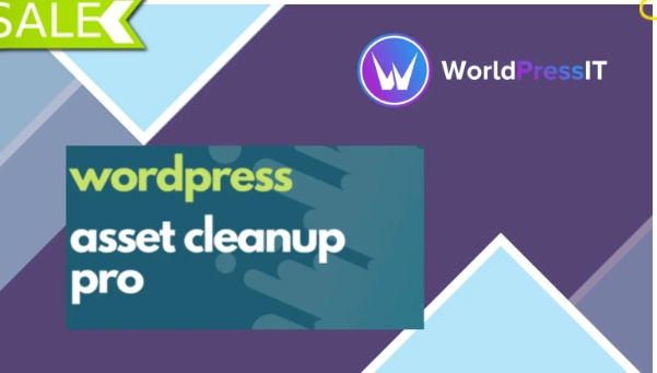 Asset CleanUp Page Speed Booster PRO