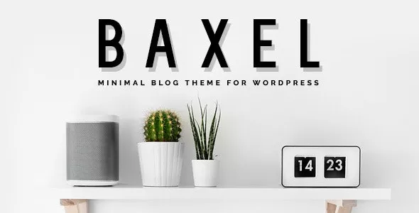 Baxel Minimal Blog Theme for WordPress