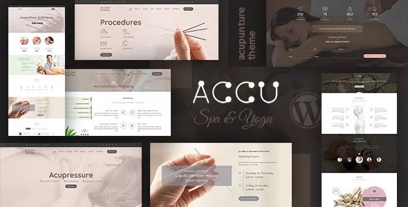 Accu  - Healthcare, Massage WordPress Theme