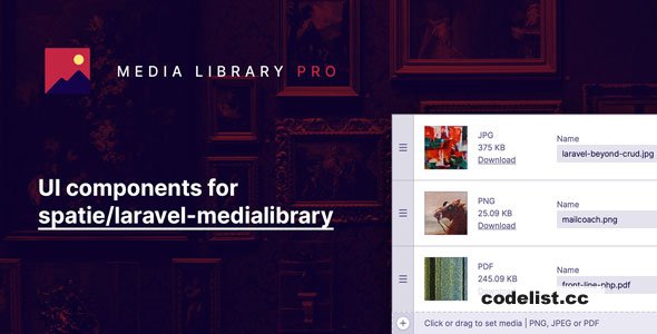 Laravel Media Library Pro