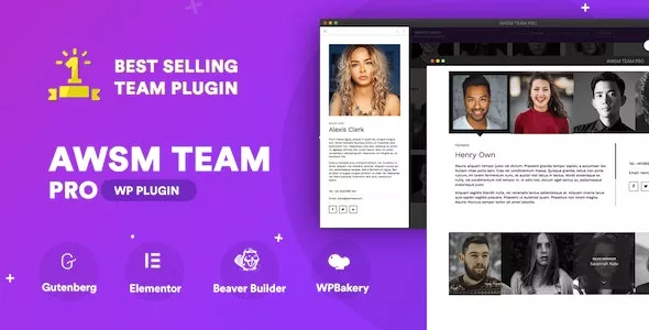 The Team Pro Team Showcase WordPress Plugin